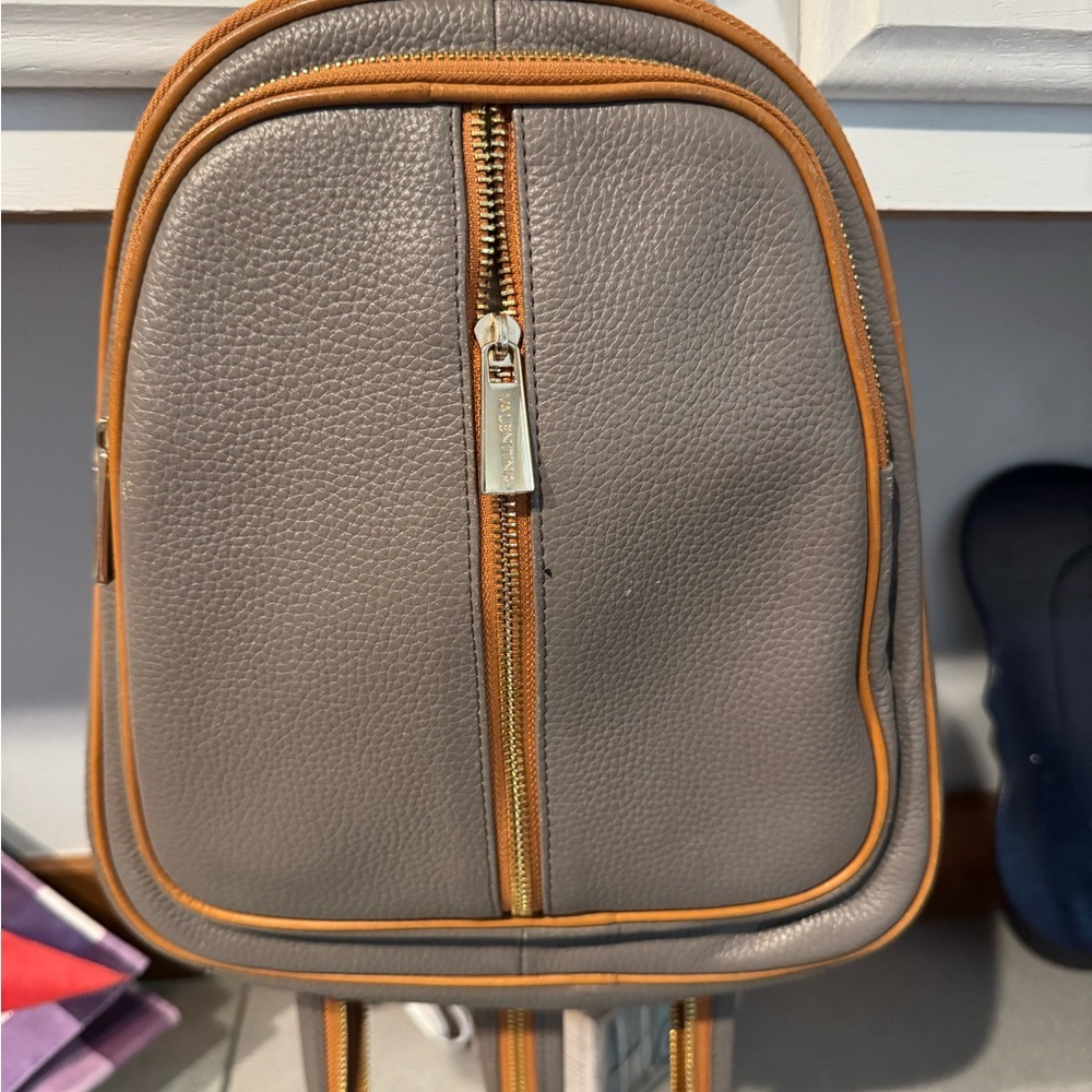 Valentina Gray Crossbody Bag with Tan Trim